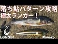 秋の風物詩 落ち鮎パターンのシーバスをロンジンルアー・フランキーで攻略!