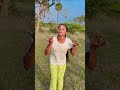 Mamidi Kollala Meedha Trendingshorts Dance Viralsongs Folksong ManiMiniVlogs 6217