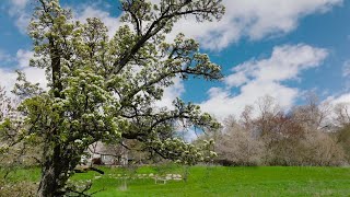 Farmington Legacy Land