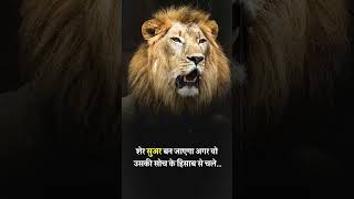 Ajka Shikh Jamshedpur T