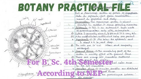 #B.Sc.//4th Semester//Botany Practical file