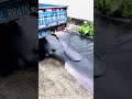 Cleaning in Progress: Vacuum Truck Operation