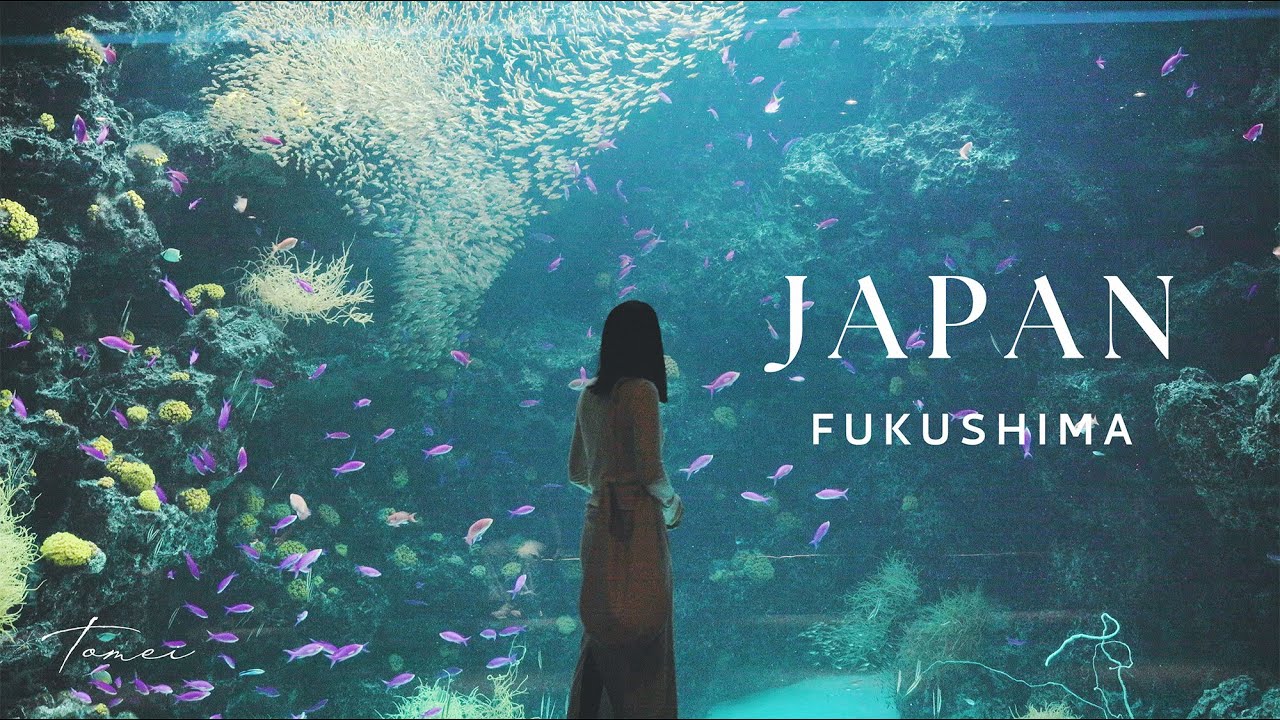 Фукусима, Япония 🇯🇵 | 2 дня спокойствия, кафе и местные находки