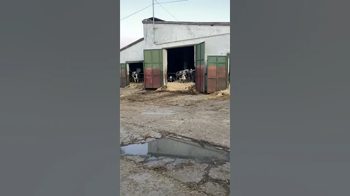 Zoo  #shorts #zoo #tiktok #raczfamilyshow #animals
