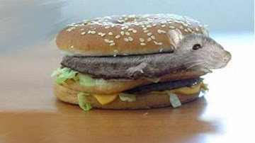 10 Shocking McDonalds Facts You Didn