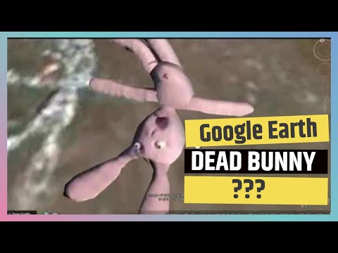 Google Earth Bunny - Youtube