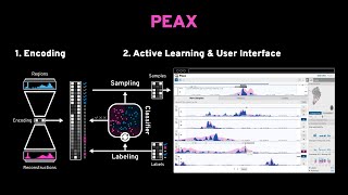 Interactive Visual Pattern Search in Epigenomic Data with Peax