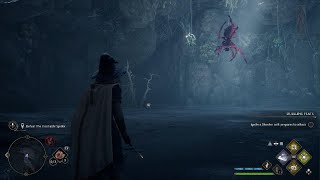 Hogwarts Legacy | Infamous Foe: The Insatiable Spider screenshot 5