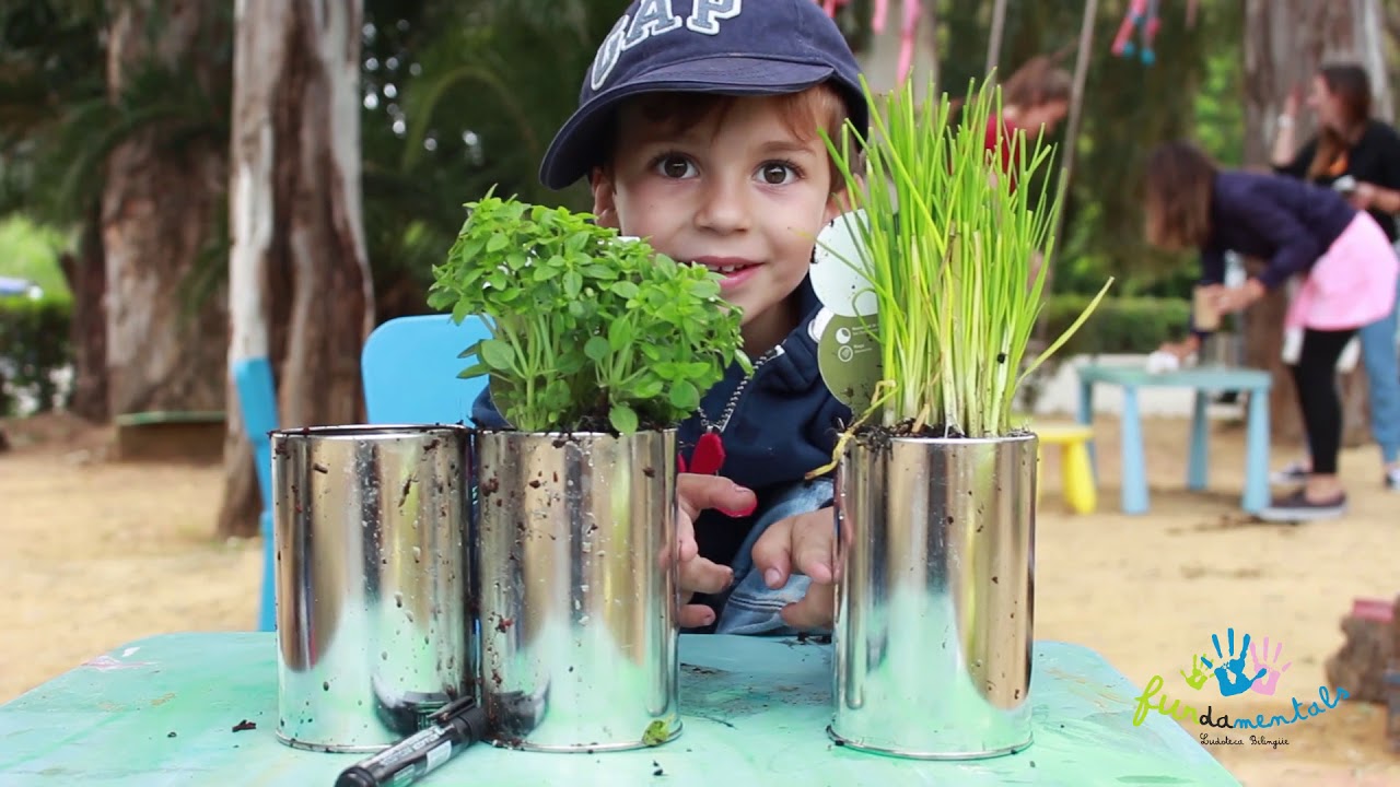 Fundamentals - Create your own herb garden!