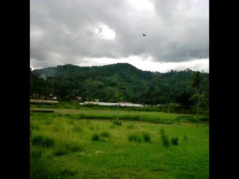 Sunda Rasta - Memory Cianjur New Version
