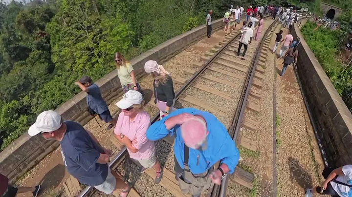 Bee attack, 9 arch bridge, Sri Lanka 03/2025