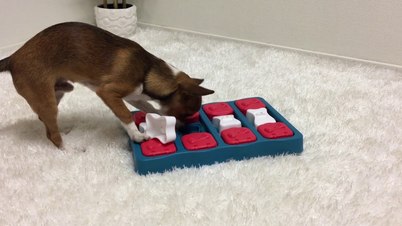 DOG BRICK - Nina Ottosson Treat Puzzle Games for Dogs & Cats