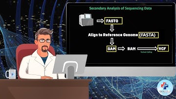 Essential Genomic File Formats for Beginners: FASTA, FASTQ, SAM/BAM, and VCF Explained