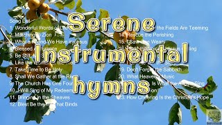 Serene Instrumental Hymns | Devotion | Meditation | Worship | Stress Relief | Study