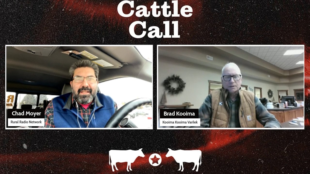 Звонок скоту: Неужели скоро состоится сделка наличными на сумму 240 долларов?