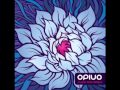 Opiuo - Creamy Taco