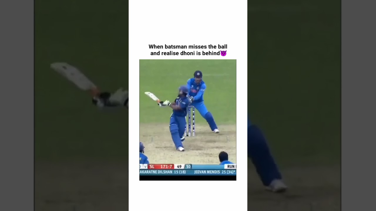 || Ms Dhoni thug life || Independence day special 🇮🇳🇮🇳 