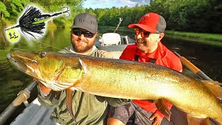 This Bait CRUSHES Musky!!! - LOST RIVER Day 1