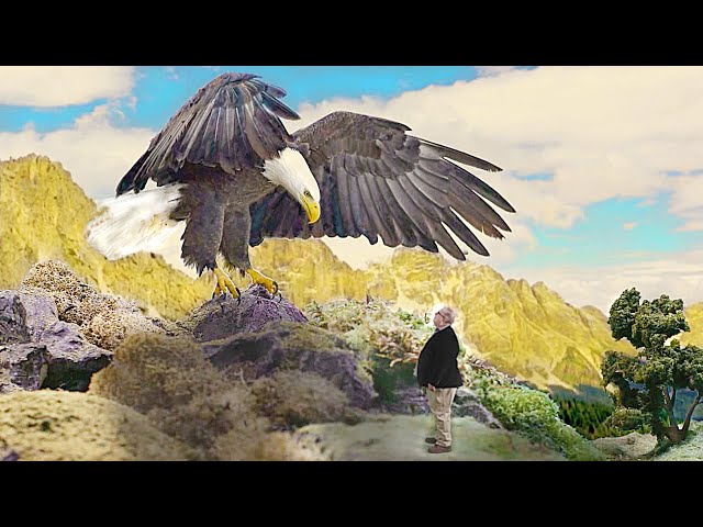 I'm Visiting Heaven & an Eagle Drops This on Me… | Sid Roth & Robin McMillan class=