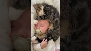 Heartwarming Baby Cuddle Session with a Kitten
