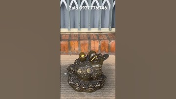 Cóc ngậm tiền #đồđồngnguyễnnghi #đồđồngxưa #phongthuy #trendingshorts #đồcổ