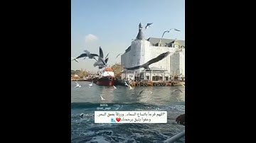 (افحسبتم أنما خلقناكم عبثا) حالات واتس اب قران كريم بصوت اسلام صبحى