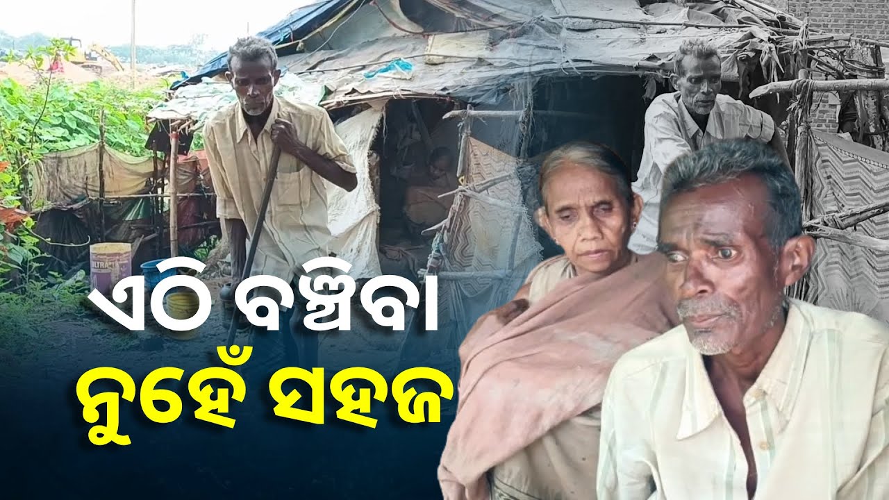 ଜୀବନ ପାଇଁ ଅପରାହ୍ନ ବୟସରେ ଏ ସଂଘର୍ଷ, କେବେ ଦୃଷ୍ଟି ଦେବେ ସରକାର ? || Knews Odisha