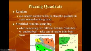 IB estimating abundance of organisms
