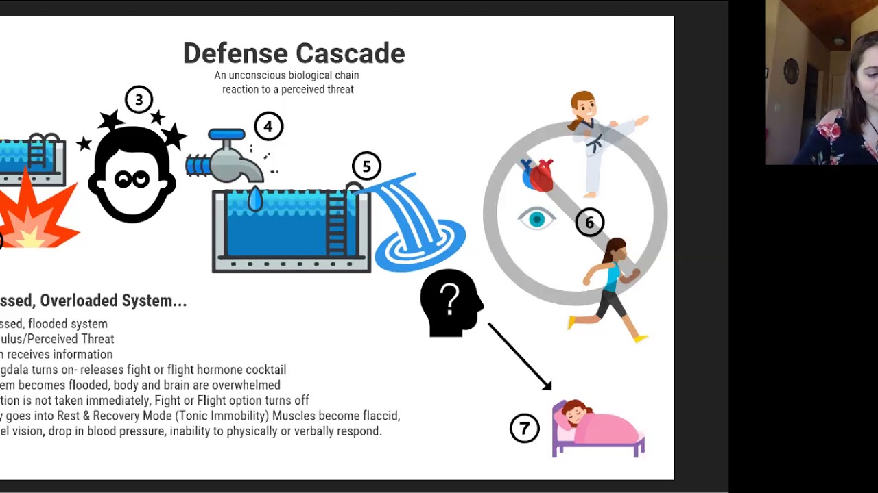 Which Is The First Step In The Body's Defense Cascade Tonic Immobility Defense Cascade - YouTube