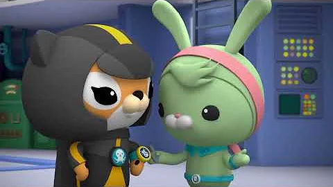 octonauts above and beyond season 5 creature coach upgrade English full episode