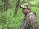 Water Buffalo Hunt CHARGING!! Hunters Ken Reed Outdoor Productions, Mathews Bows