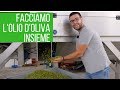 Come fare il VERO olio d'oliva EXTRAVERGINE