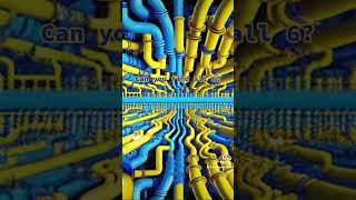 The Ducks Are Stuck Help Us Find Them