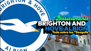 LA CAÍDA Y EL ASCENSO DEL BRIGHTON AND HOVE ALBION | La historia completa de los "seagulls"