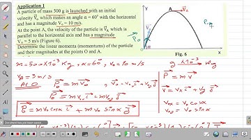 Grade 12 LS - Chapter 2: Linear momentum (Part 2)