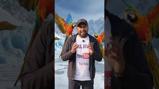 bird food, cage size, disease information subscribe Abul Aviary