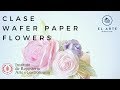 Clase Wafer Paper Flowers - Cocina Expuesta Nocturna El arte de hacer arte