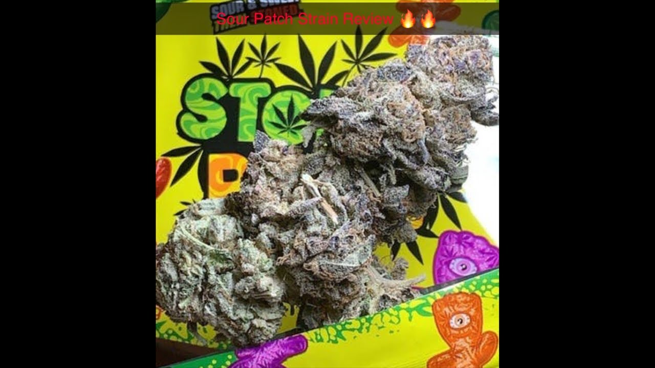 Sour Patch Strain Review You