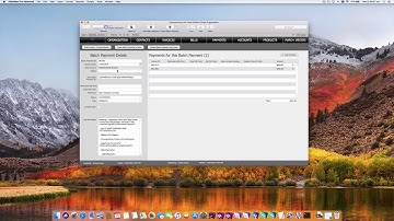 fmAccounting Link (Xero Edition) and Batch Payments