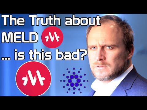 The Scary Truth about Meld on Cardano !!!  ? ? ?