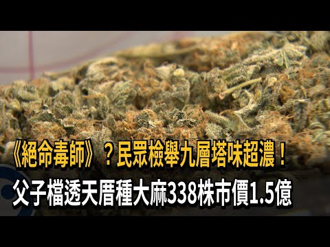 《絕命毒師》？民眾檢舉九層塔味超濃！　父子檔透天厝種大麻338株市價1.5億－民視新聞