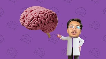 Different methods to measure brain activity (EEG, ECoG, MEG, fNIRS, fMRI)  | Neuroscience