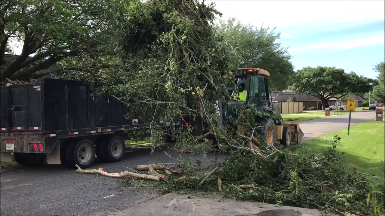 Youngsville Yard Waste Clean Up YouTube