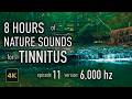 8 Hours Nature Sounds for Tinnitus — EP 11 | [6,000 Hz] | 4K HDR10 - E11-6000