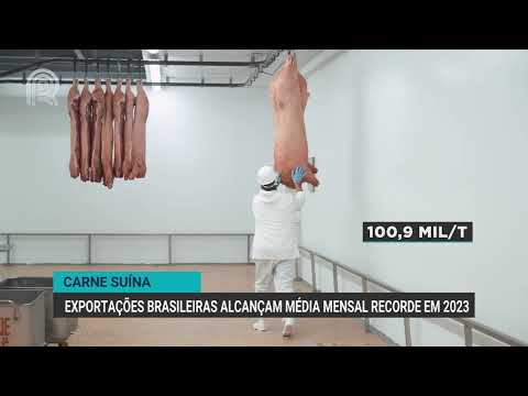 Carne suína: exportações brasileiras alcançam média mensal recorde em 2023 | Canal Rural