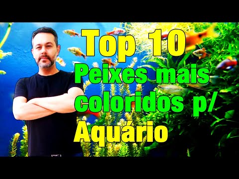 Vídeo: Tipos de peixes de aquário tropical de água doce