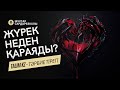 ЖҮРЕКТЕГІ ҚАРА ДАҚ ҚАЛАЙ, НЕДЕН ПАЙДА БОЛАДЫ? | МҰХТАР САРДАРБЕКҰЛЫ