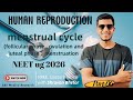 Menstrual cycle in female || Human Reproduction part- 06 #Biology