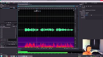 How to make mono audio stereo with Adobe Audition
