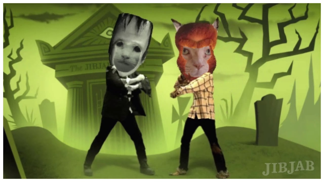 special needs animals for adoption near me Monster Mash